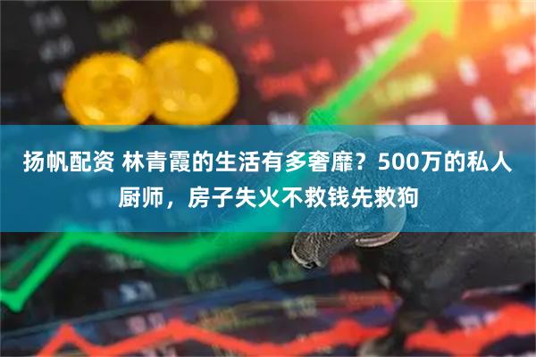 扬帆配资 林青霞的生活有多奢靡？500万的私人厨师，房子失火不救钱先救狗