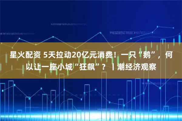 星火配资 5天拉动20亿元消费！一只“鹅”，何以让一座小城“狂飙”？丨潮经济观察