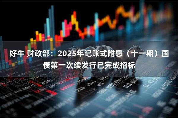 好牛 财政部：2025年记账式附息（十一期）国债第一次续发行已完成招标
